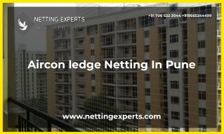 Aircon ledge Netting In Pune