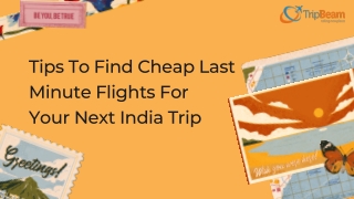 Tips To Find Cheap Last Minute Flights For Your Next India Trip