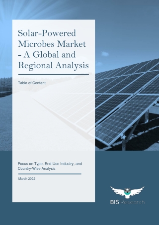 Solar-Powered Microbes Market: Value Chain Analysis