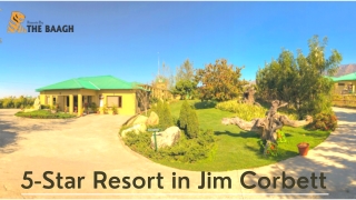 New year package in jim corbett