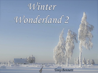 Winter Wonderland (Judith) 2