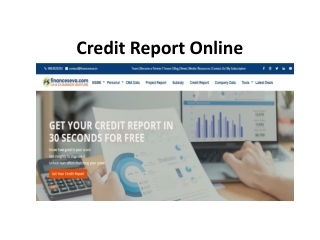 Credit Report Online