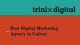 Best Digital Marketing Agency in Calicut