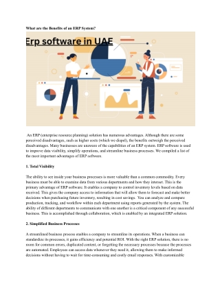 Erp software in UAE