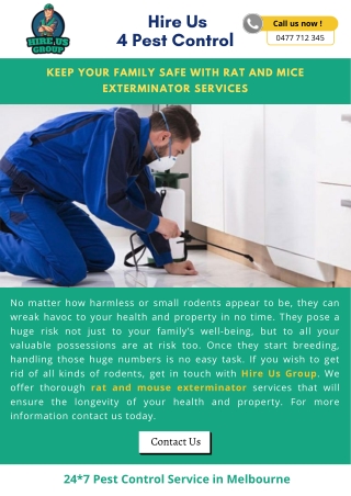 Keep Your Family Safe With Rat and Mice Exterminator Services