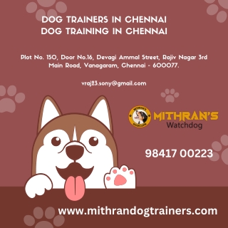 Dog Trainers In Chennai