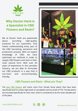 Why Doctor Herb is a Specialist in CBD Flowers and Resin