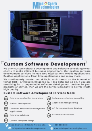 Custom Software Development – Mind Spark Technologies