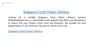 Singapore Fresh Flower Delivery  Whitedewflower.com