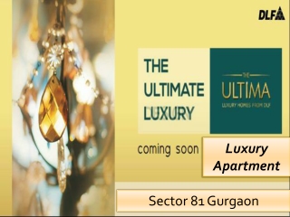 DLF Ultima Sector 81