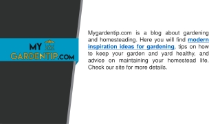 Modern Inspiration Ideas for Gardening   Mygardentip.com