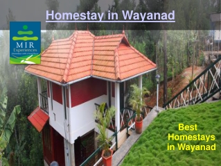 Homestay in Wayanad