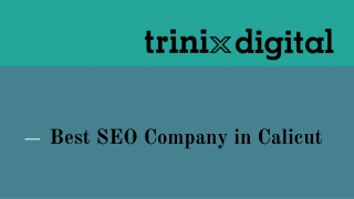 Best SEO Company in Calicut