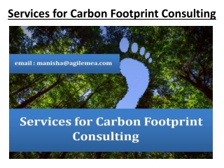 Services for Carbon Footprint Consulting