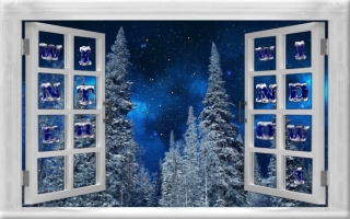 Winter Window (Judy) 1