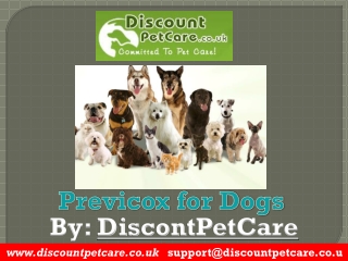 Previcox for Dogs