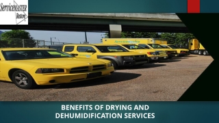 Hire Professional For Drying And Dehumidification In Chattanooga