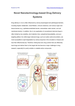 Novel Nanotechnology-based Drug Delivery Systems