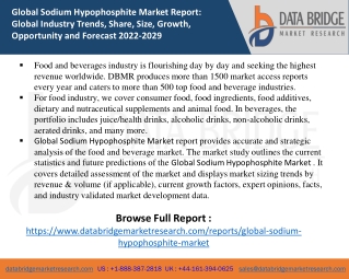 Sodium Hypophosphite Market report