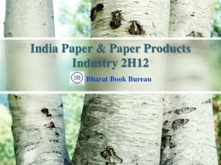 India Paper & Paper Products Industry 2H12