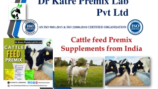 Cattle feed Premix Supplements from India