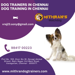 Dog Trainers In Chennai