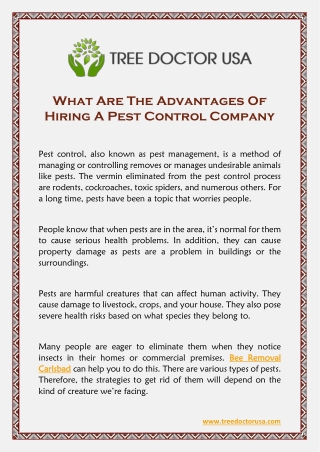 What Are The Advantages Of Hiring A Pest Control Company