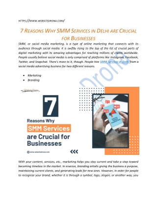 7 Reasons Why SMM Services In Delhi are Crucial for Businesses