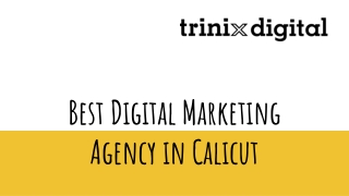 Best Digital Marketing Agency in Calicut
