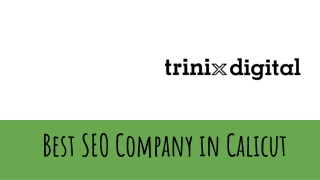 Best SEO Company in Calicut