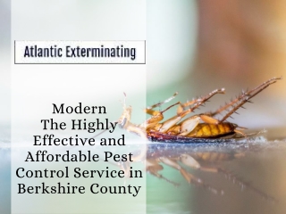 The Highly Effective and Affordable Pest Control Service in Berkshire County