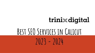 Best SEO Services in Calicut 2023 - 2024