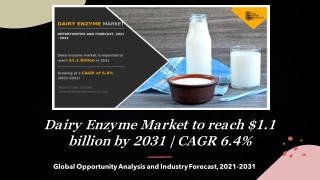 Dairy Enzyme Market Size, Share | Industry Growth