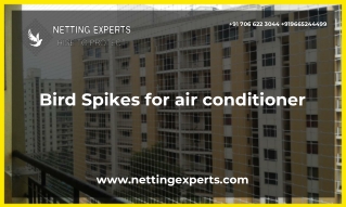 Bird Spikes for air conditioner In Pune