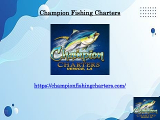 Venice Fishing Charters