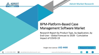 BPM-Platform-Based Case Management Software Market Patterns, Growth Insight, Sha