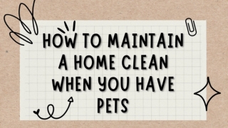 How To Maintain a Home Clean When You Have Pets