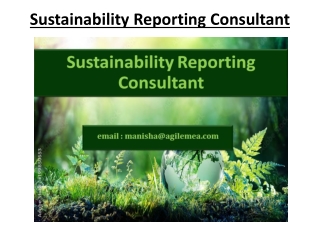 Sustainability Reporting Consultant