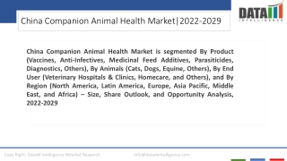 China Companion Animal Health Market Forecast 2022-2029