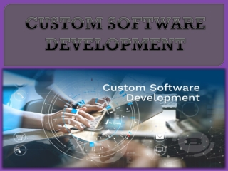 CUSTOM SOFTWARE DEVELOPMENT