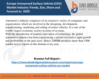 Europe Unmanned Surface Vehicle (USV)