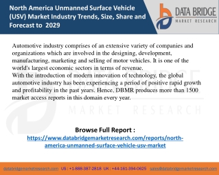North America Unmanned Surface Vehicle (USV) Market