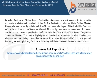 Middle East and Africa Laser Projection Systems Market report