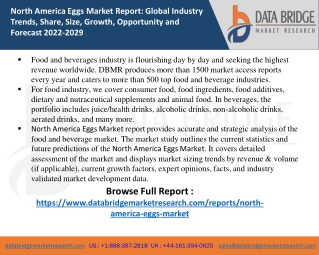 North America Eggs Market report