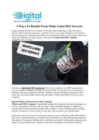 5 Ways To Benefit From White Label SEO Services