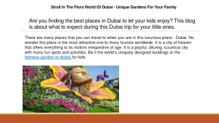 Stroll In The Flora World Of Dubai - Unique Gardens For Your Family