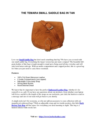 THE TEMARA SMALL SADDLE BAG IN TAN