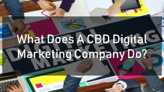 What Does A CBD Digital Marketing Company Do