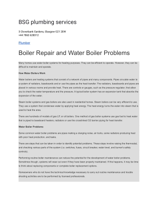 BSG plumbing services