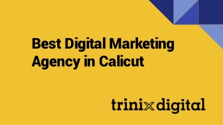 Best Digital Marketing Agency in Calicut